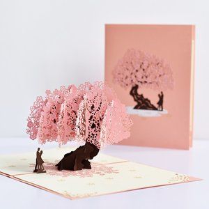 3D Card Cards